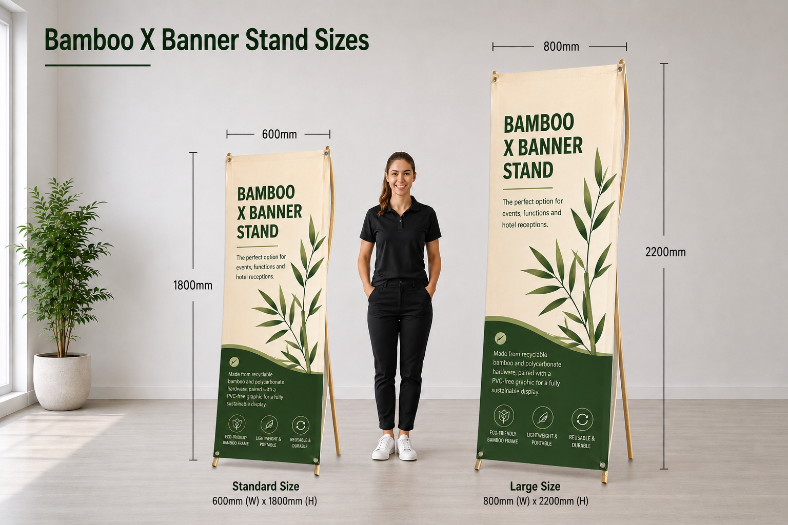 Bamboo X Banner Stand size comparison showing 600mm x 1800mm and 800mm x 2200mm options