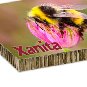 Xanita Board Printing