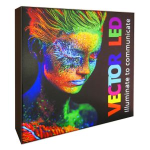 Vector Wall Frame Graphics