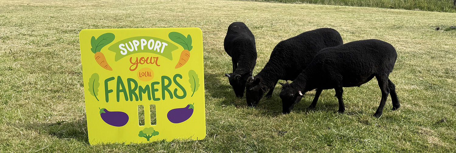 Picture of a hard help placard stood on the ground next to some sheep